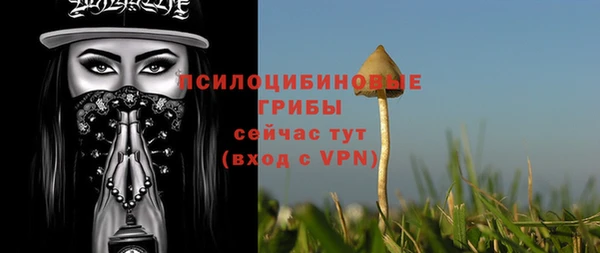 spice Пересвет