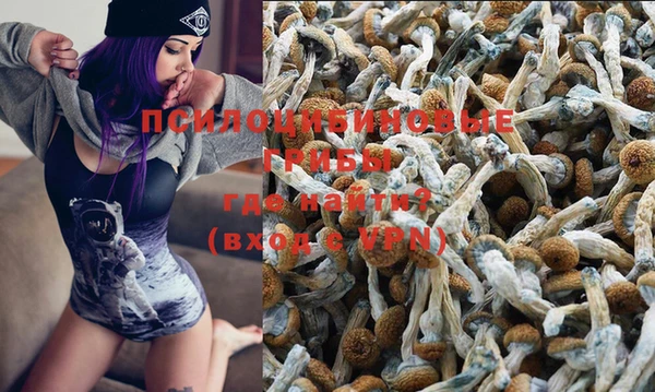 эйфоретик Пестово